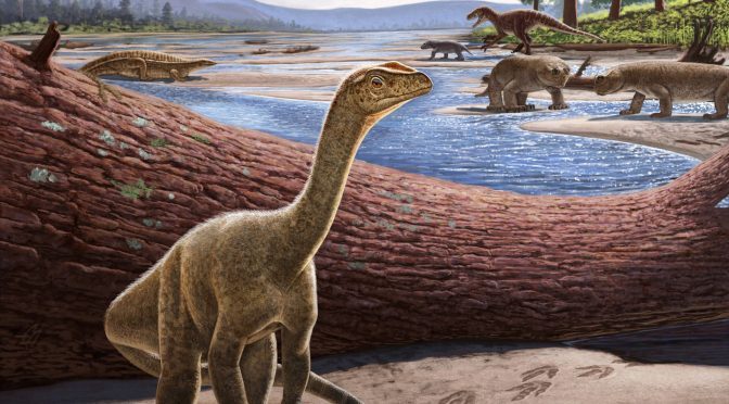 Dinozaur Mbiresaurus raathi