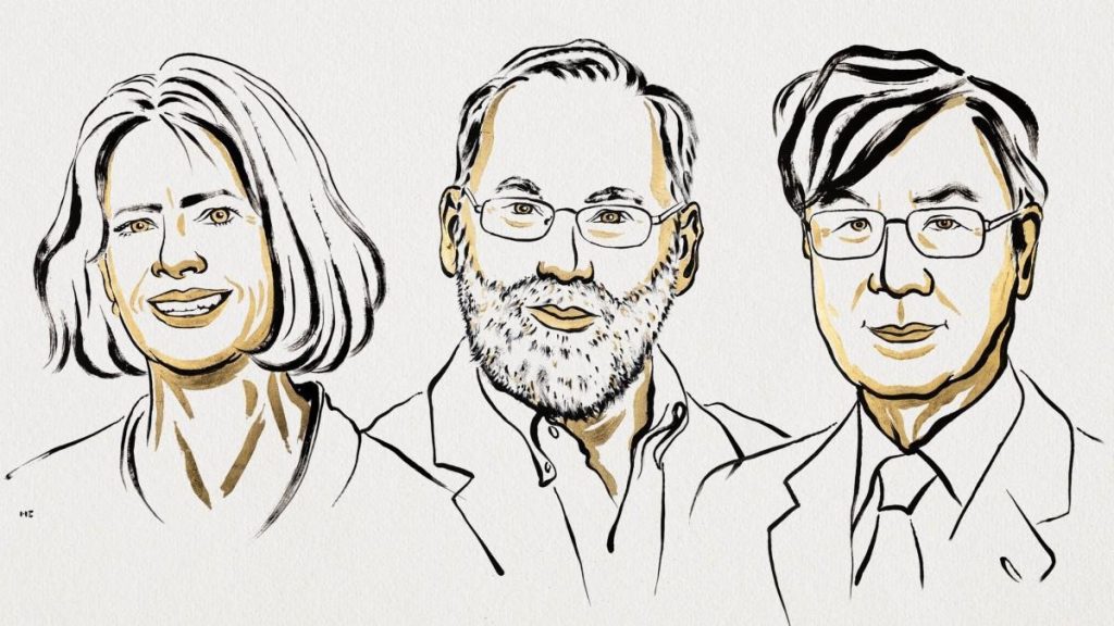 Mary E. Brunkow, Fred Ramsdell și Shimon Sakaguchi