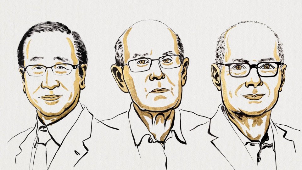 Susumu Kitagawa, Richard Robson și Omar Yaghi